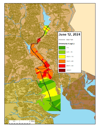 Dataflow 2024-06-12.jpg