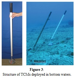 Figure 3: Structure of TCMs deployed in bottom waters.