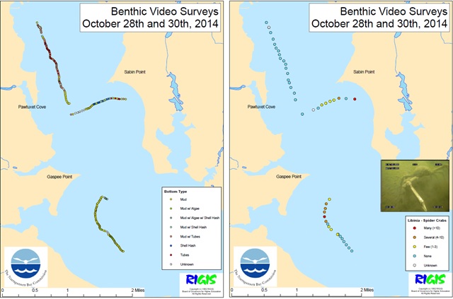 Benthic Video Monitoring Surveys
